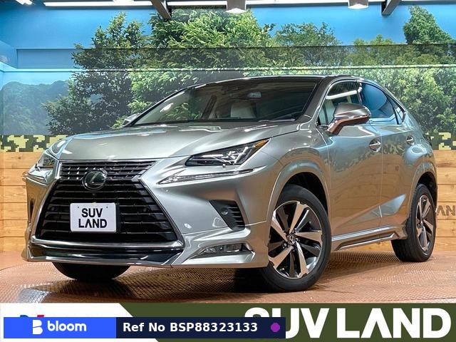 2018 Lexus NX