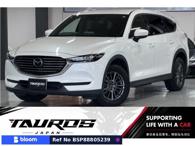 2019 Mazda CX-8