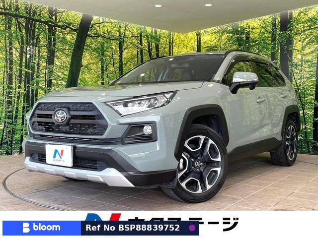 2019 Toyota RAV4