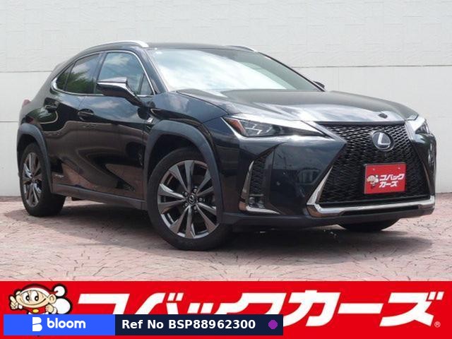 2019 Lexus UX