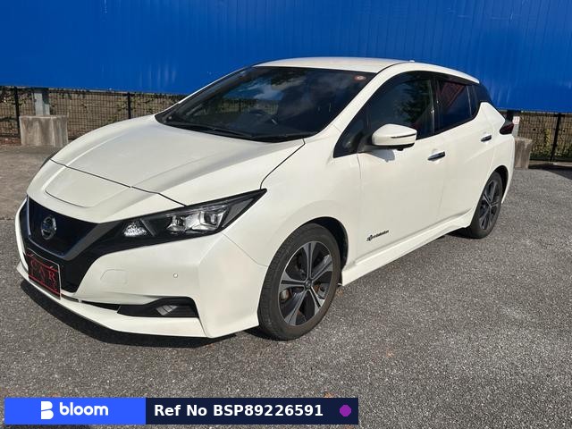 2020 Nissan Leaf
