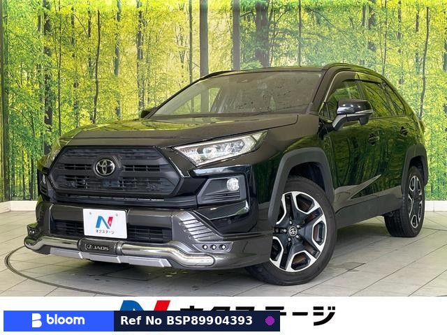 2019 Toyota RAV4