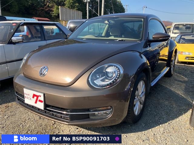 2014 Volkswagen THE Beetle