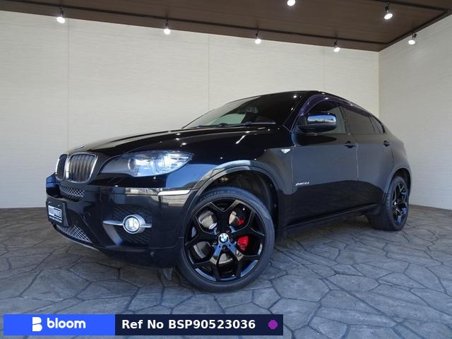2010 BMW X6