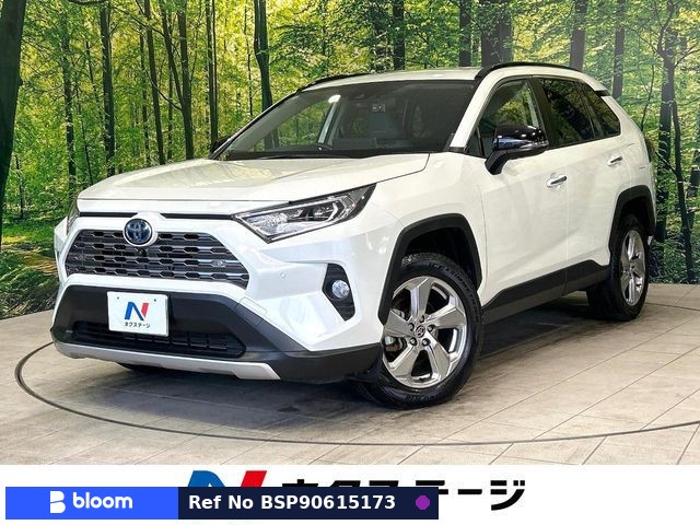 2020 Toyota RAV4