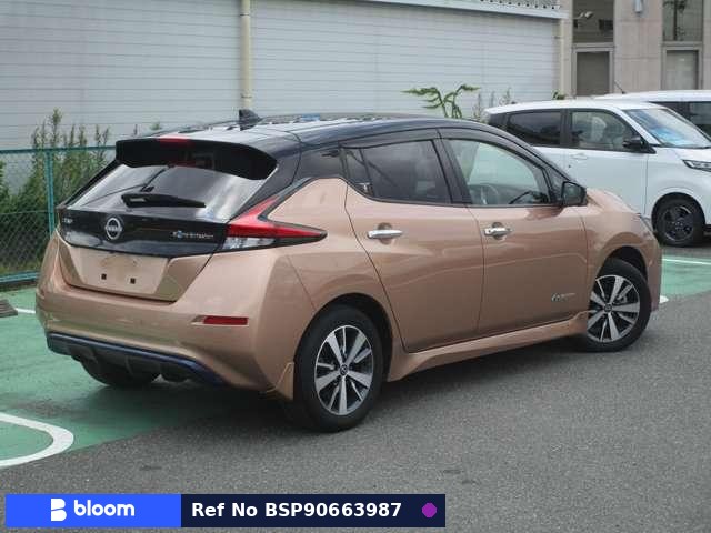 2021 Nissan Leaf