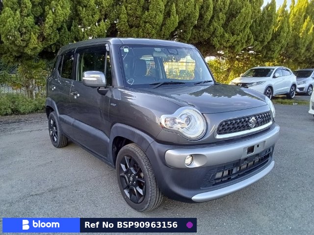 2019 Suzuki X BEE