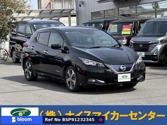 2019 Nissan Leaf