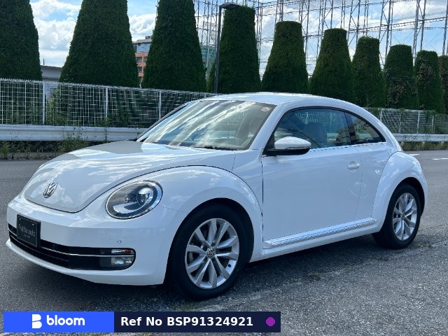 2014 Volkswagen THE Beetle