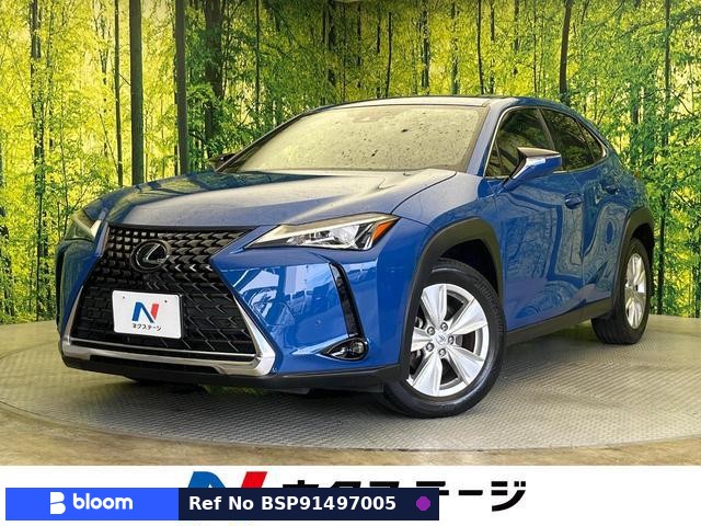 2018 Lexus UX