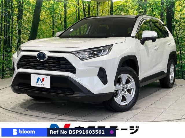 2020 Toyota RAV4