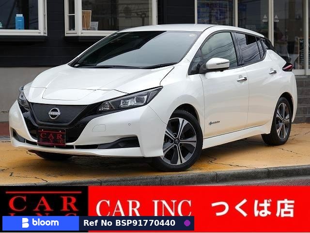 2021 Nissan Leaf