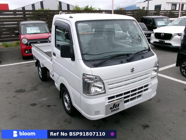 2019 Suzuki Carry Truck