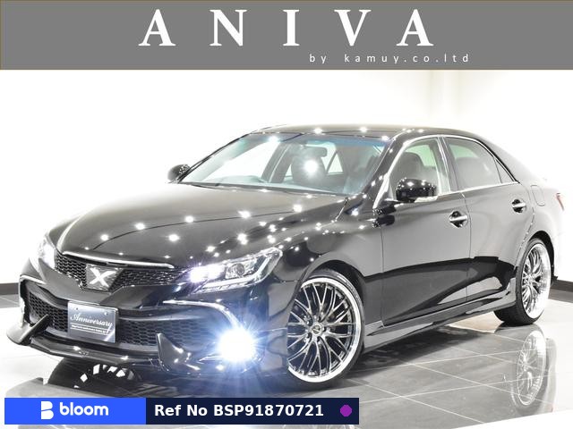 2010 Toyota Mark X