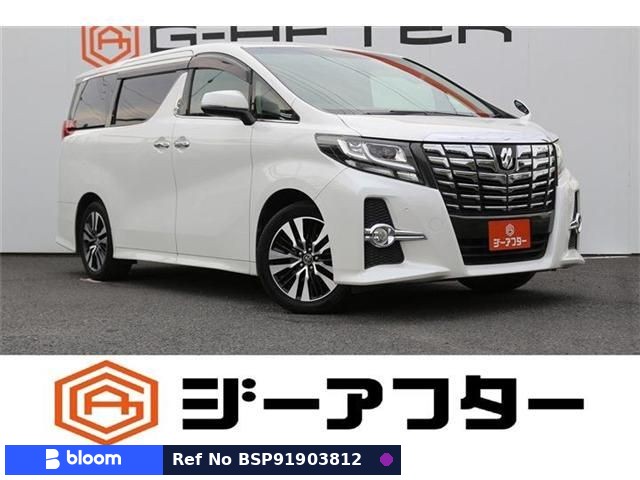 2016 Toyota Alphard