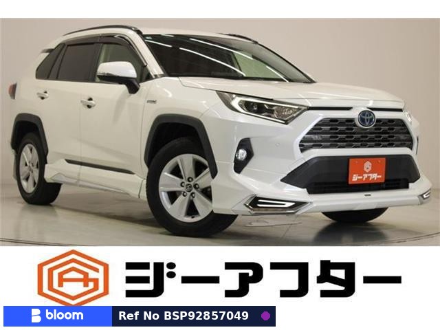 2019 Toyota RAV4