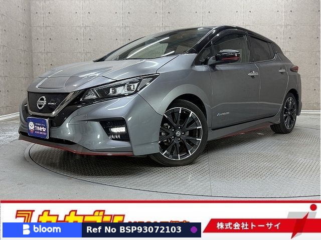 2020 Nissan Leaf