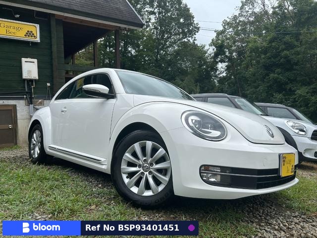 2012 Volkswagen THE Beetle