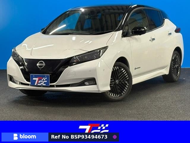 2022 Nissan Leaf
