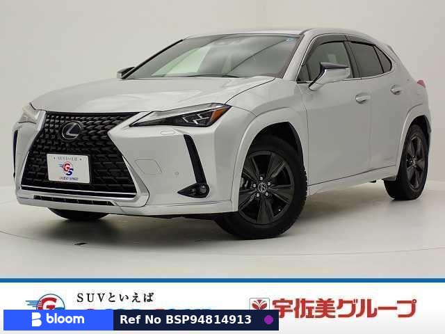 2019 Lexus UX