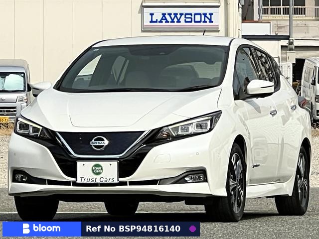 2019 Nissan Leaf