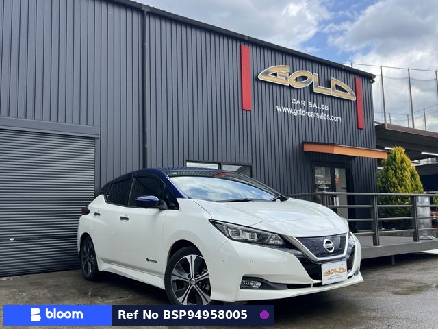 2017 Nissan Leaf