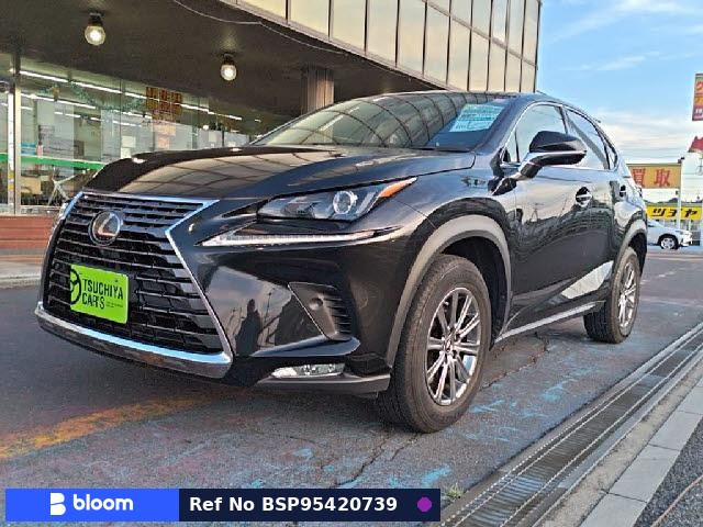 2019 Lexus NX