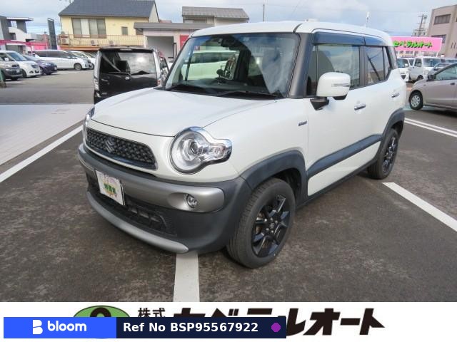 2018 Suzuki X BEE