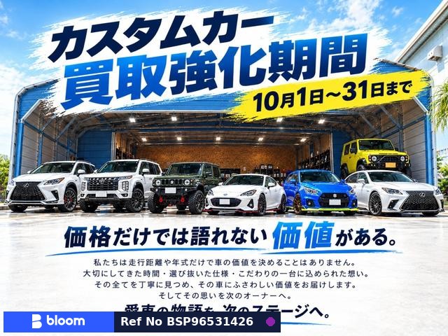2017 Mitsubishi Delica D5