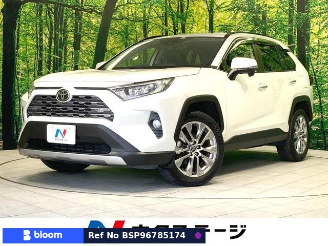 2019 Toyota RAV4
