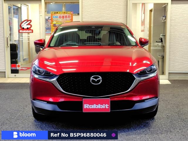 2019 Mazda CX-30