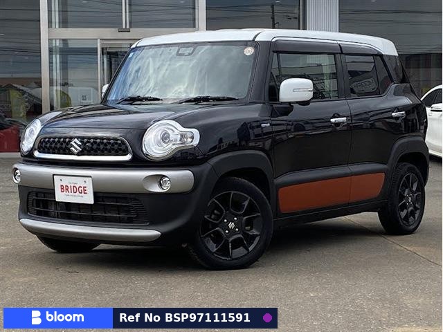 2018 Suzuki X BEE