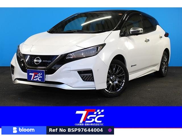 2022 Nissan Leaf