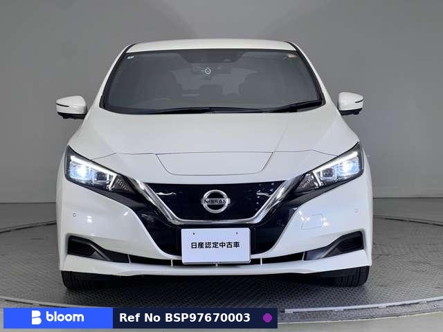 2020 Nissan Leaf