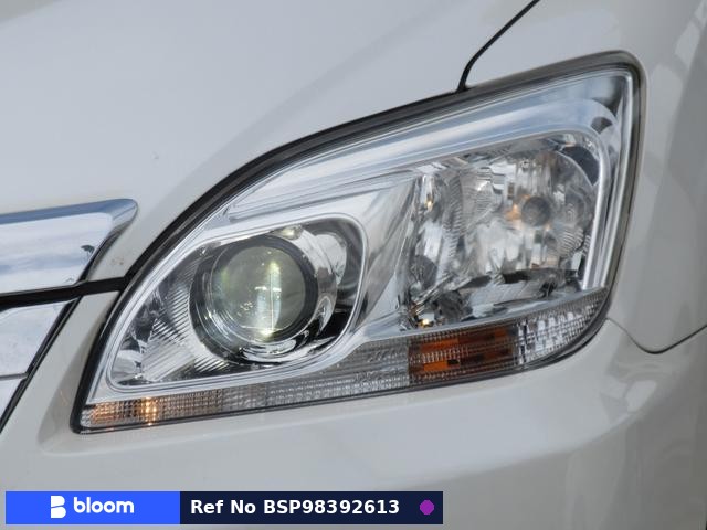 2009 Toyota Mark X ZIO