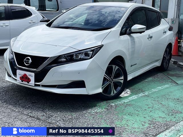 2019 Nissan Leaf