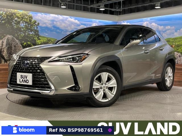 2019 Lexus UX