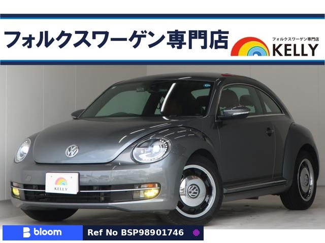 2014 Volkswagen THE Beetle