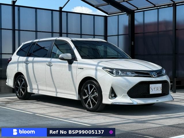 2019 Toyota Corolla Fielder