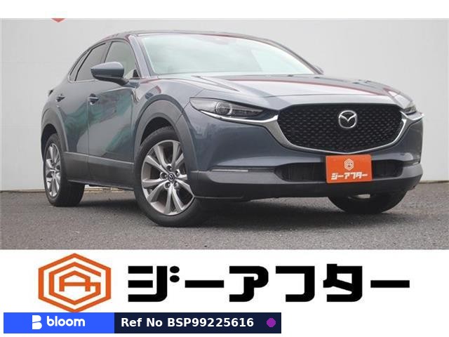 2019 Mazda CX-30