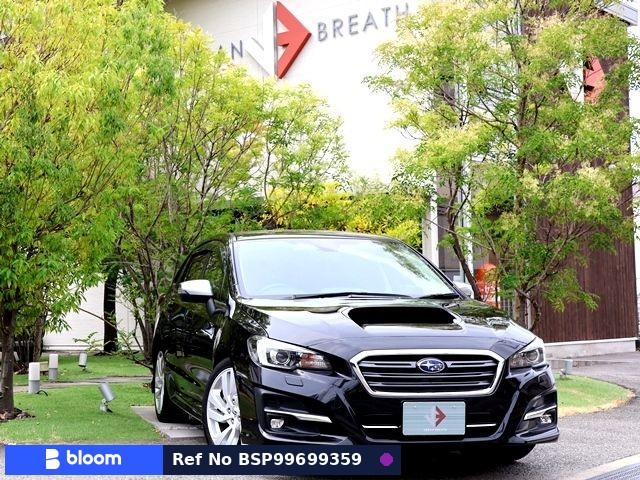 2019 Subaru Levorg
