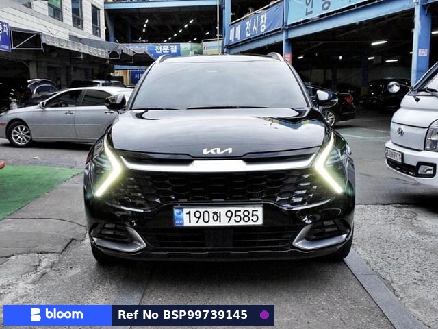 2022 KIA Sportage