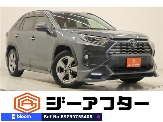 2019 Toyota RAV4