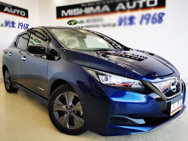 2021 Nissan Leaf