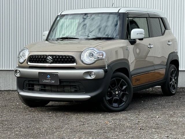2018 Suzuki X BEE
