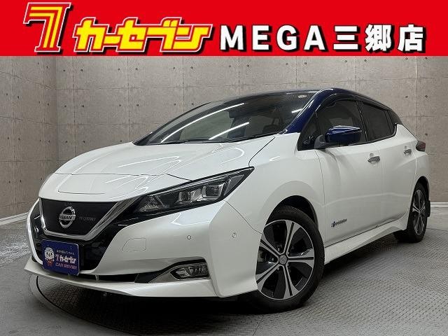2018 Nissan Leaf