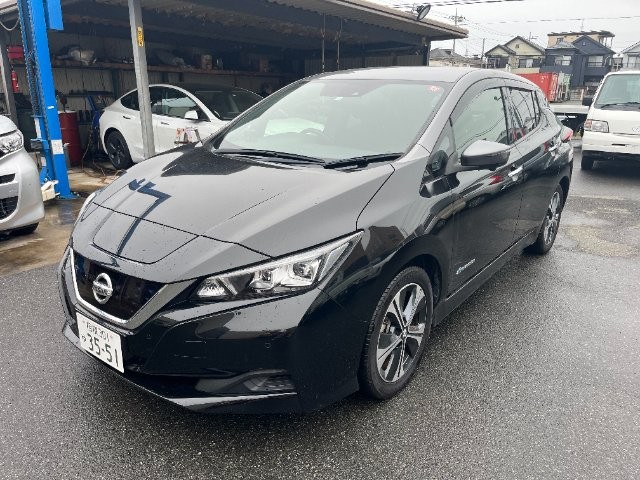 2019 Nissan Leaf