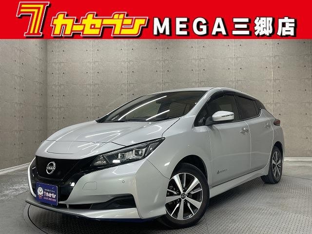 2021 Nissan Leaf