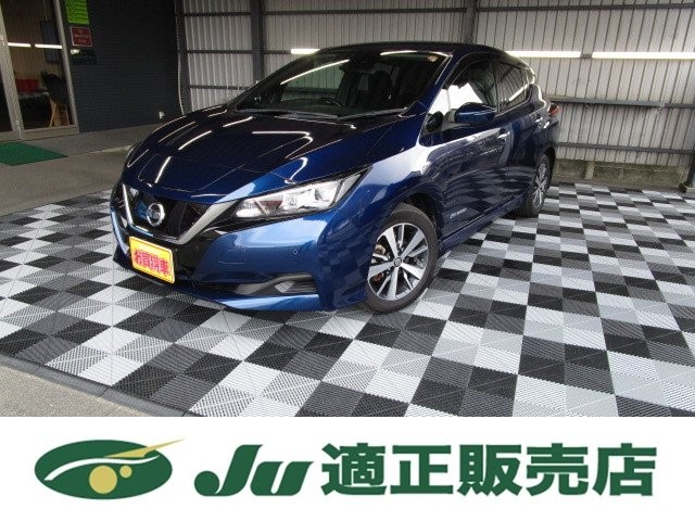 2019 Nissan Leaf