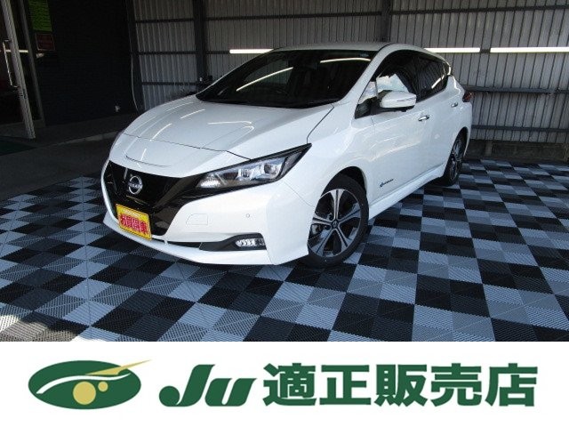 2022 Nissan Leaf